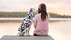 Tractive - Pet Tracking App Development