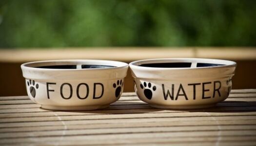pet food apps