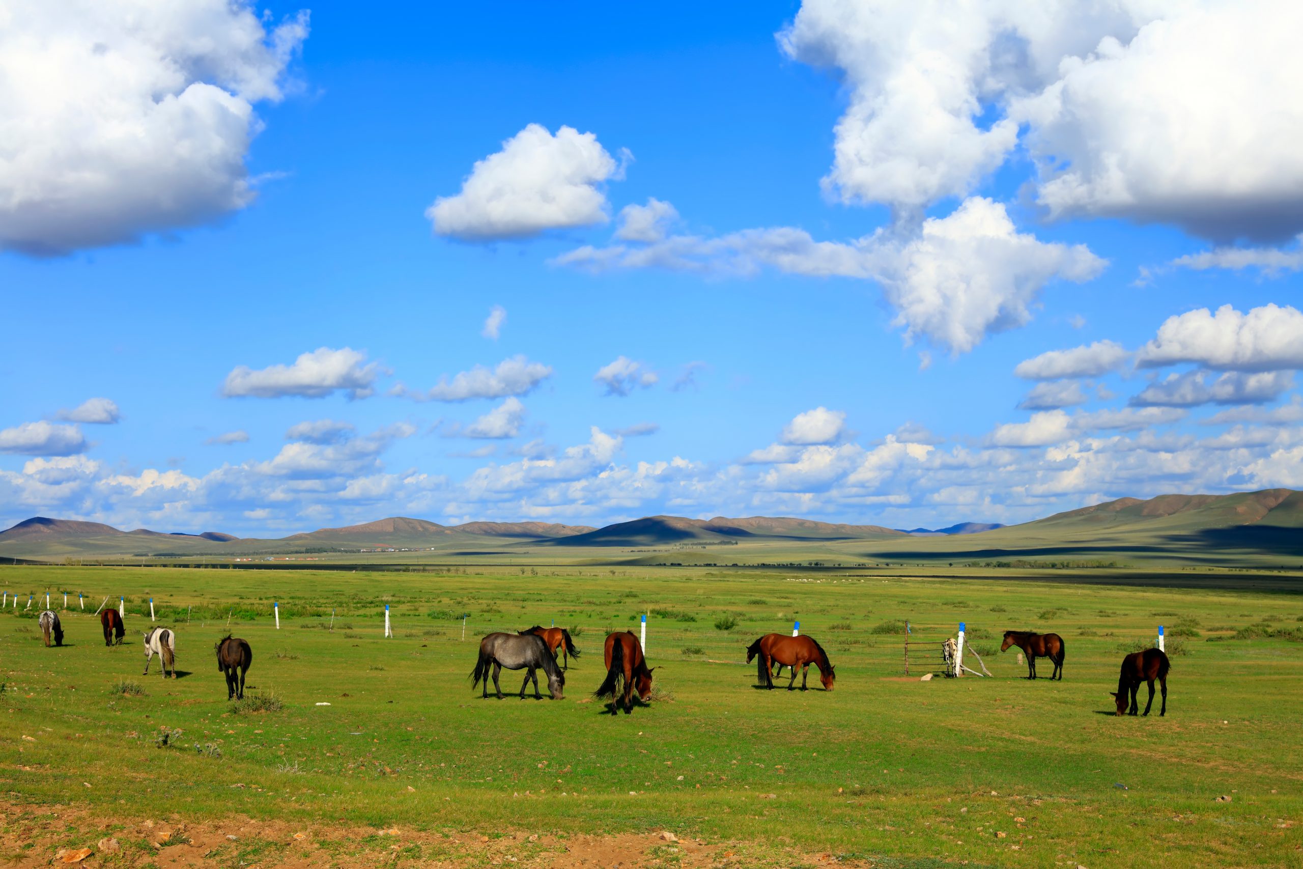 What is a Ranch Farm