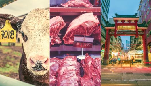 Export Beef to China