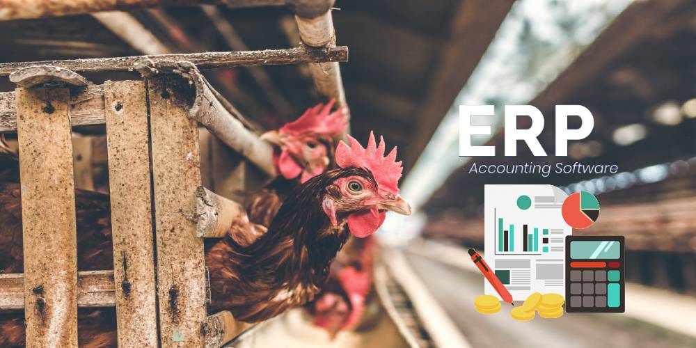 poultry industry