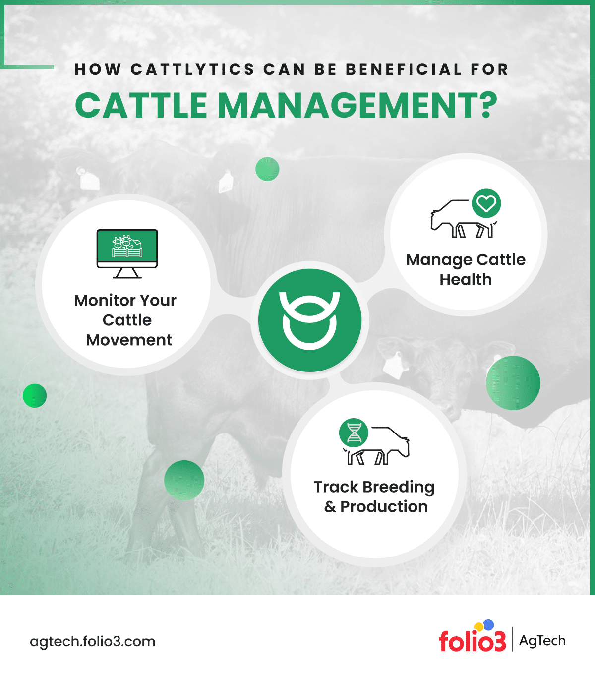 cattle Management Apps