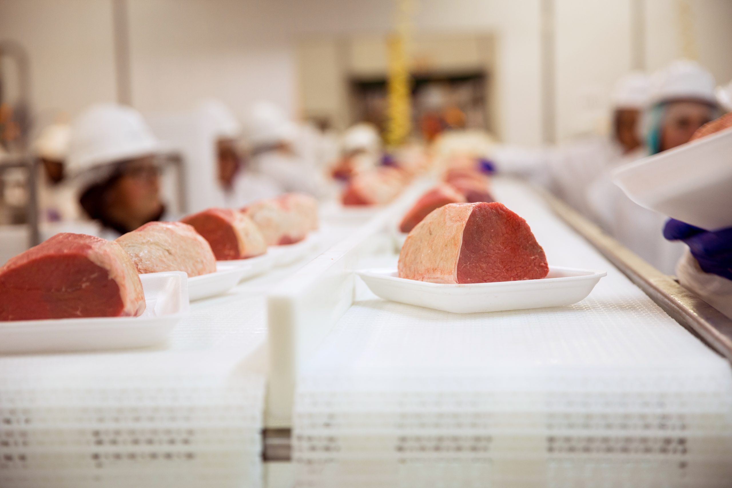 MOST COMMON HIDEOUTS OF BACTERIA IN PROCESSING PLANTS AND HOW TO TACKLE IT