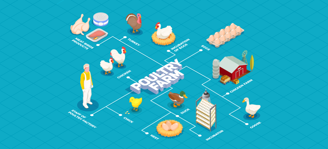 Cost to Start a Poultry Farm Business
