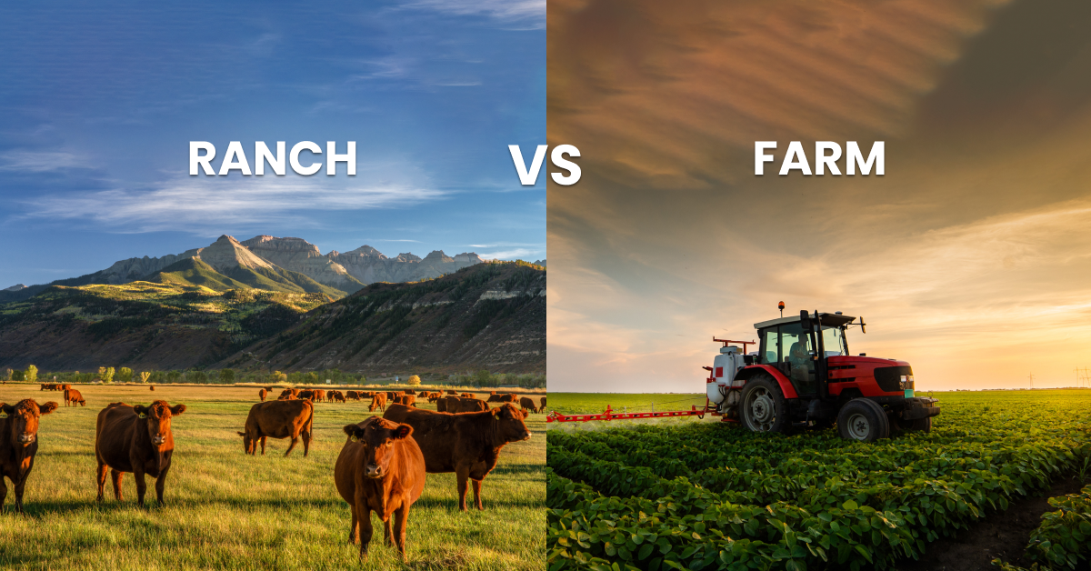 ranch vs farm