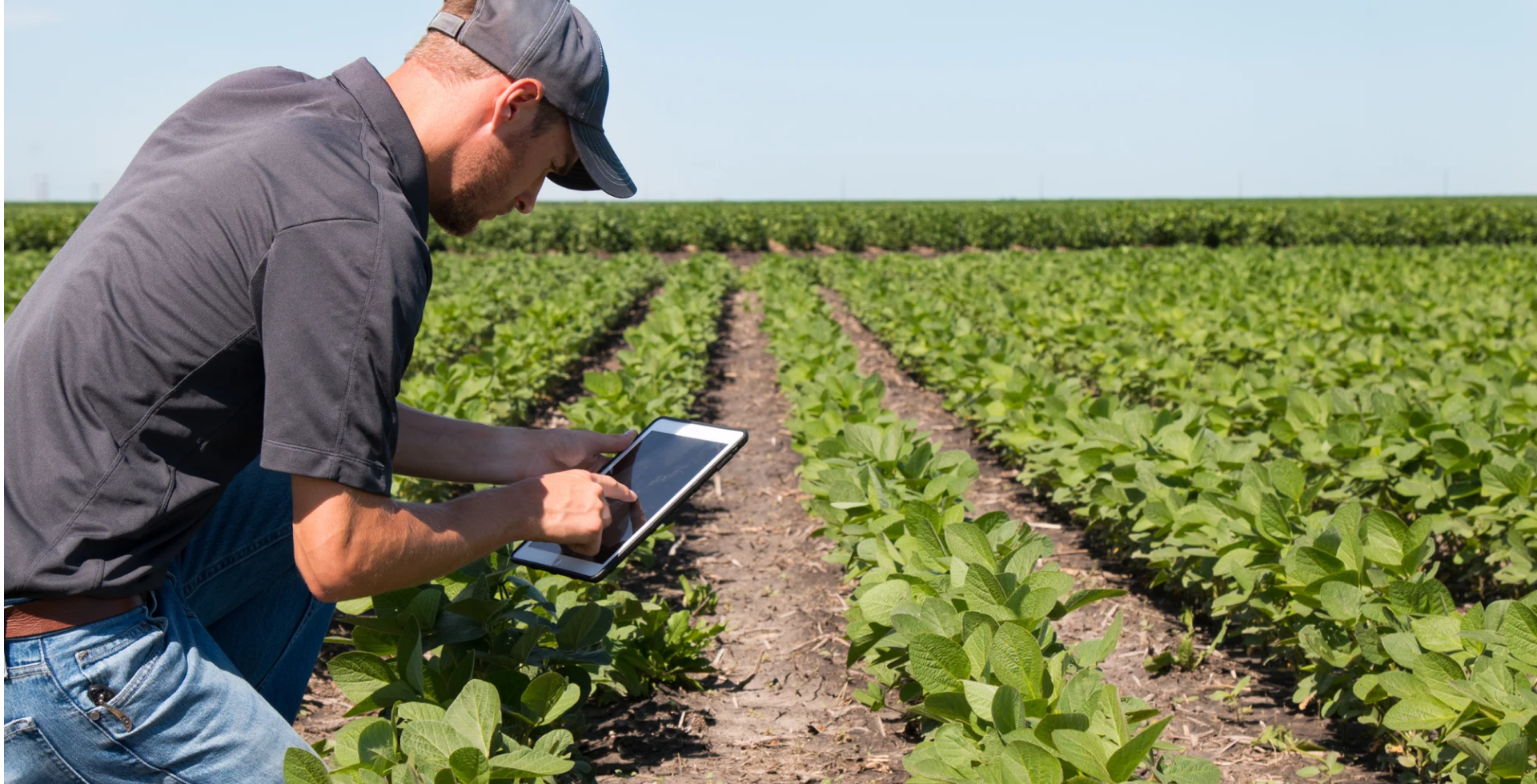 Precision Agriculture Technology