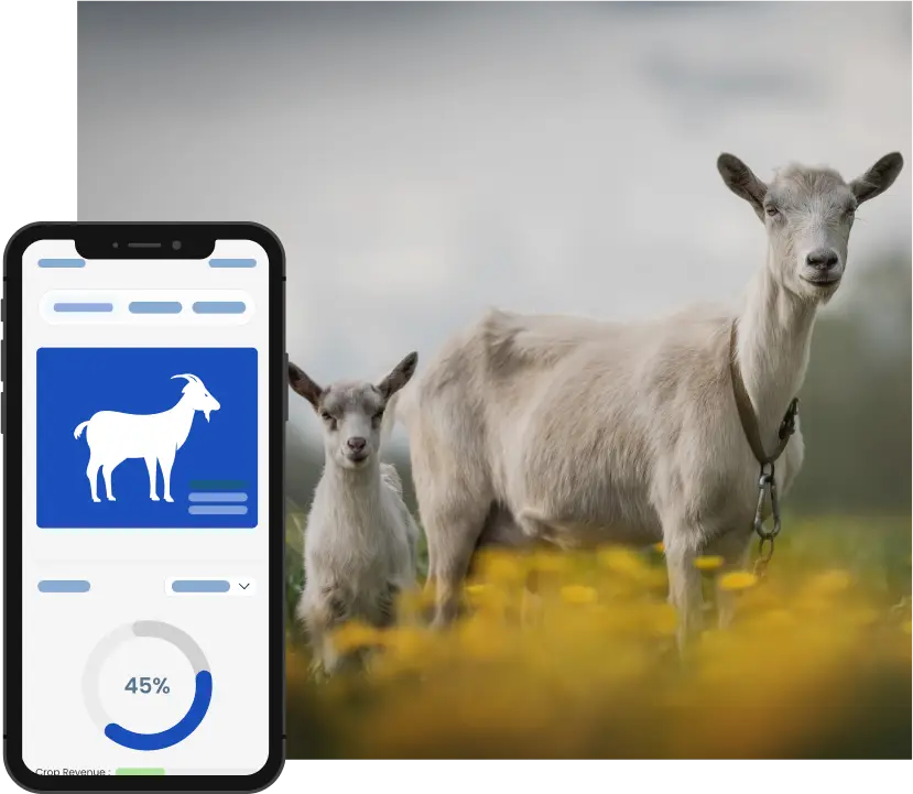 Goat herd management software