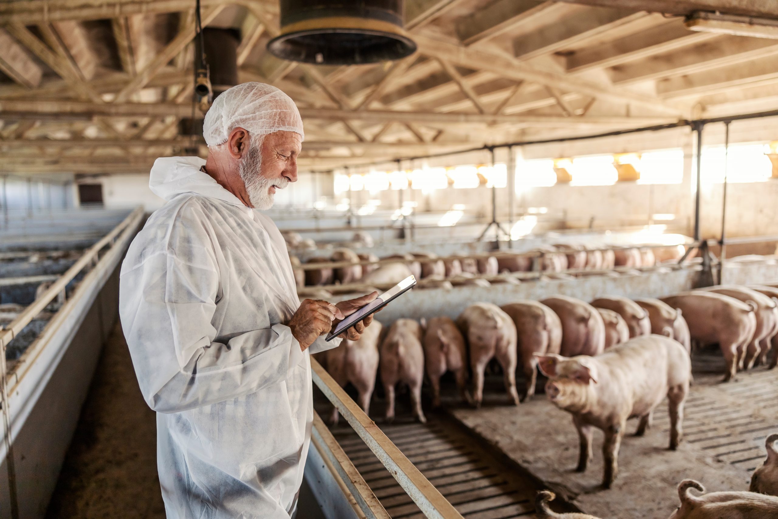 Automate livestock Vaccination Process
