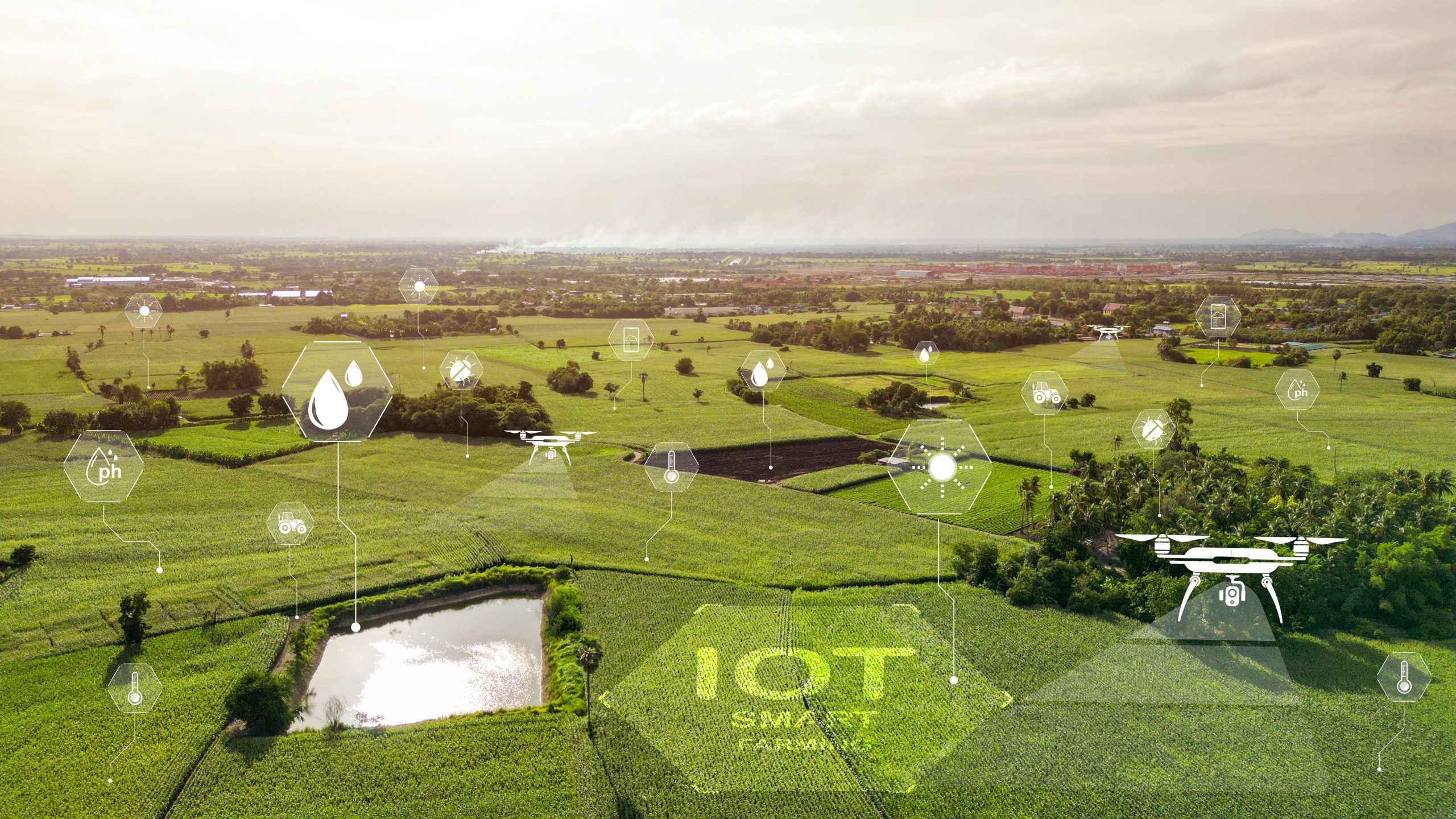 IoT in Agriculture