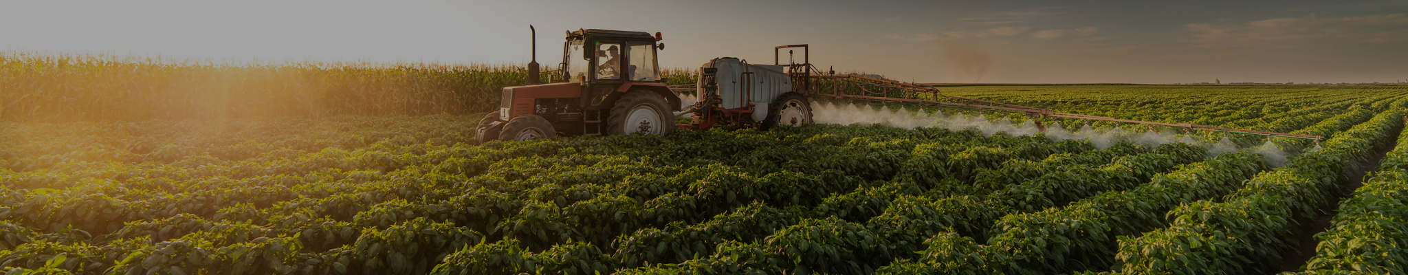 transforming finance in agriculture