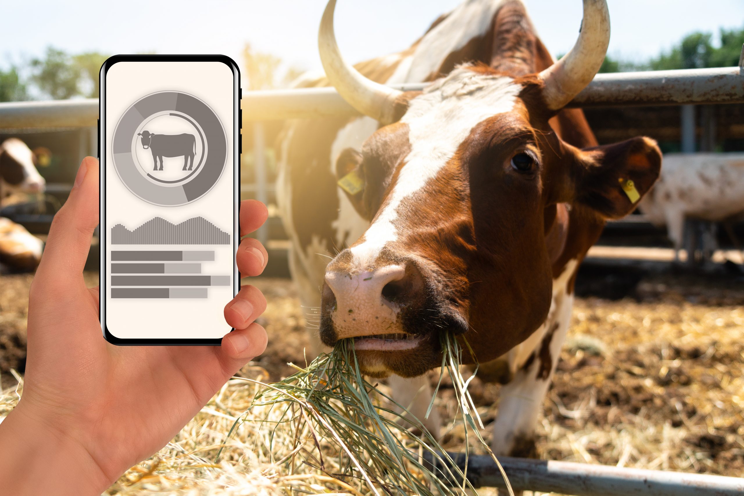 Cattle Management Software