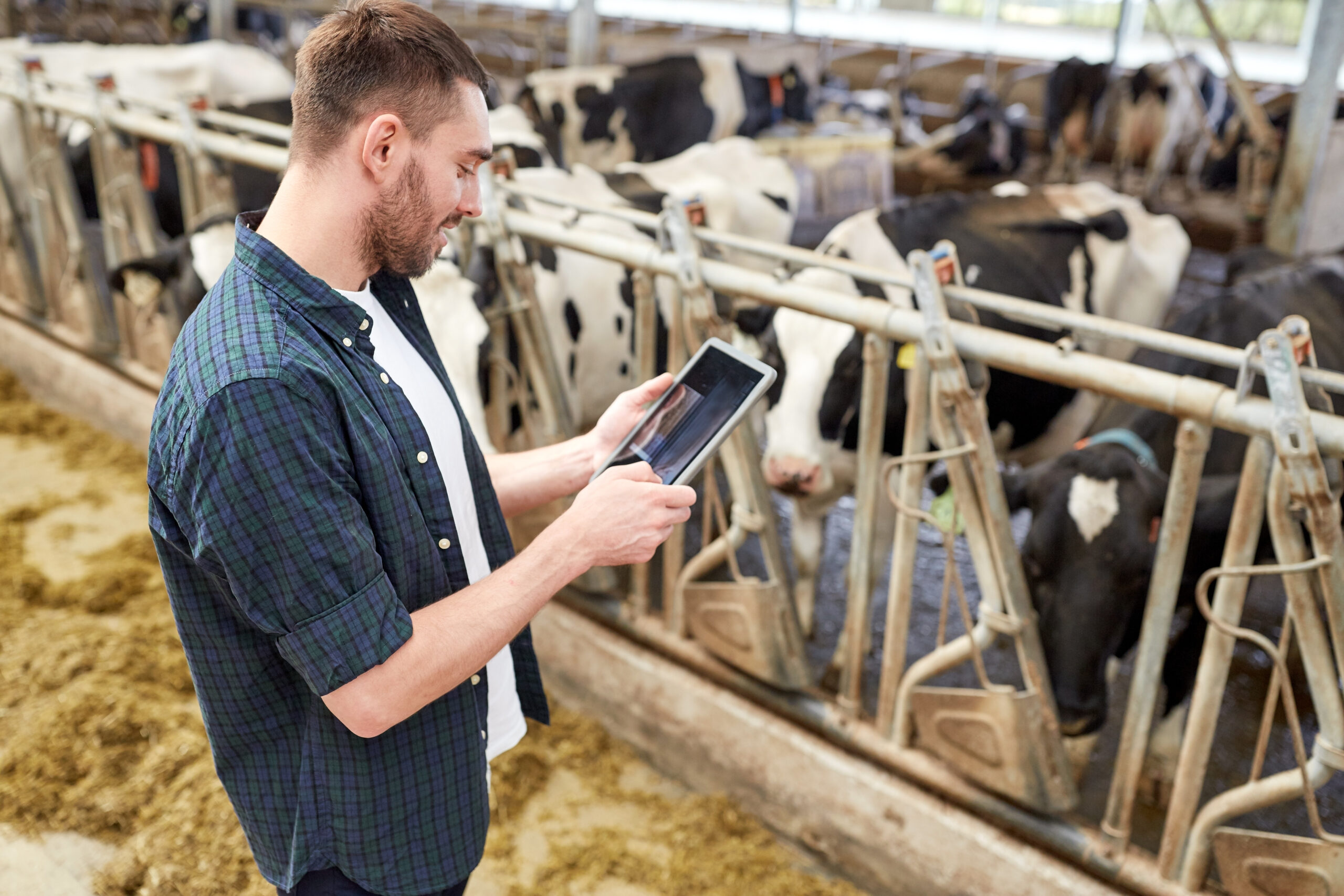 Cattle Management Solution