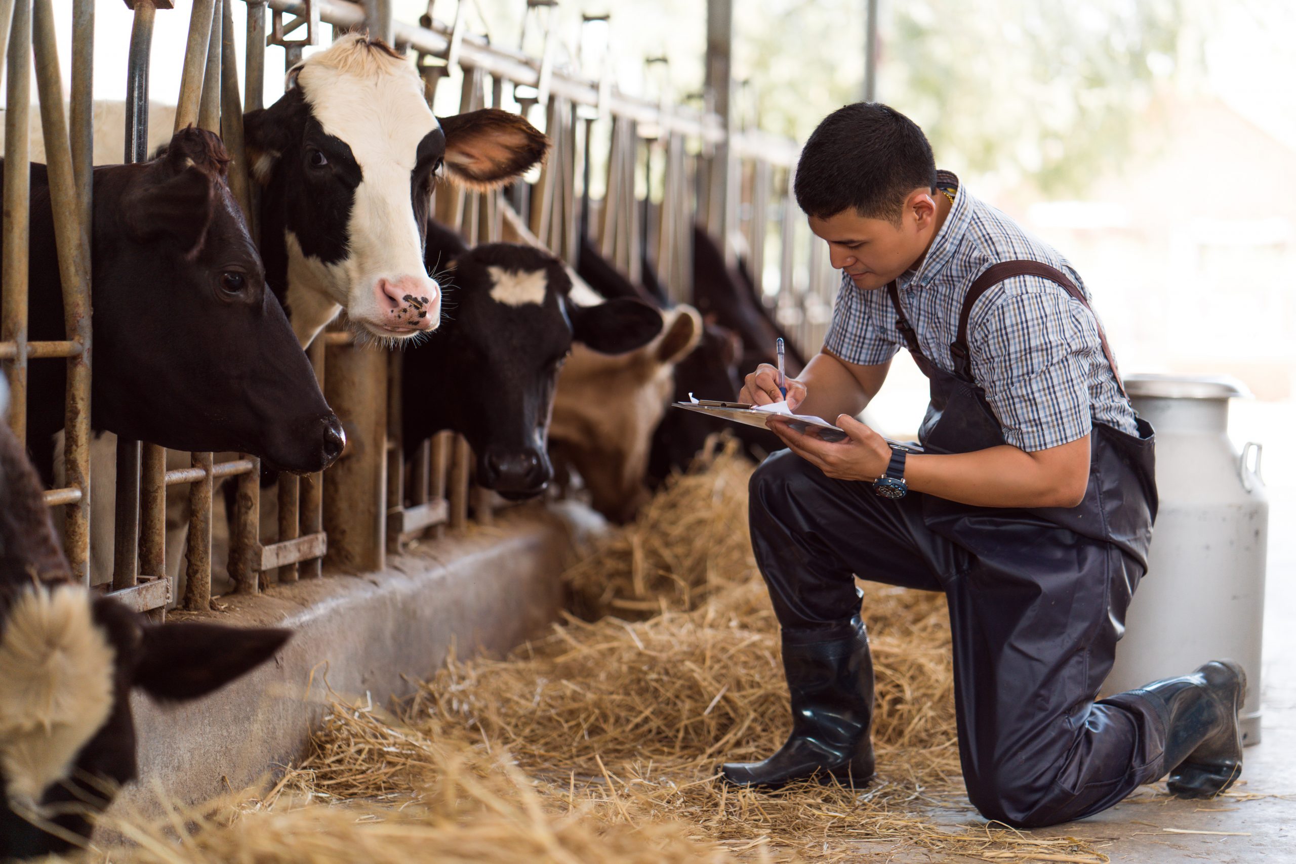 how to become a rancher
