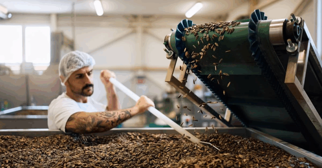 Designing a Seed Processing Plant and Selecting Equipment