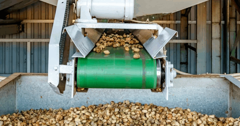 Fundamental Seed Processing Steps