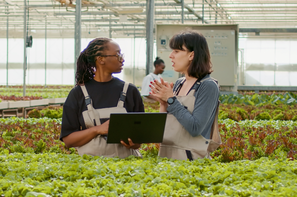 Understanding the importance of user friendliness