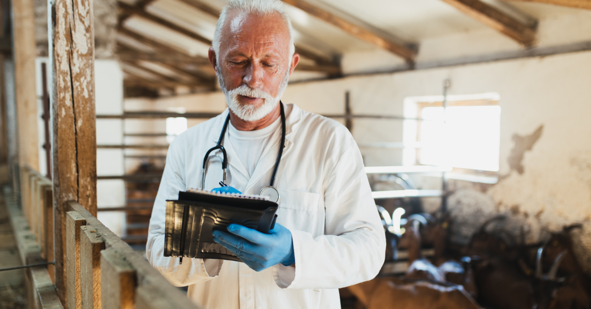 goat farming