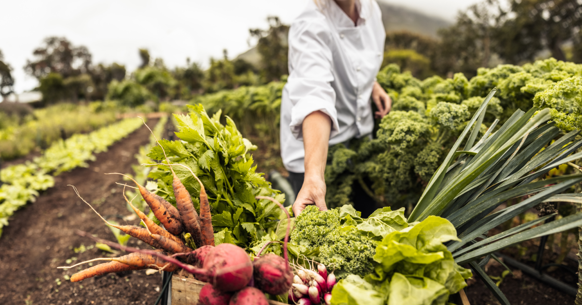 most profitable crops