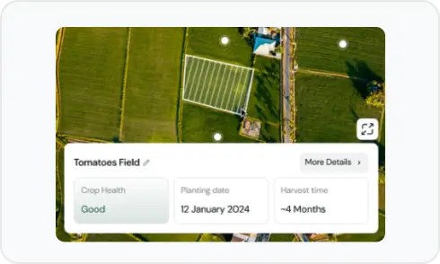 Quick & Easy Integrations