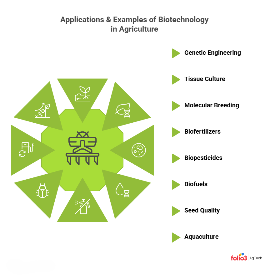 Applications & Examples of Biotechnology in Agriculture