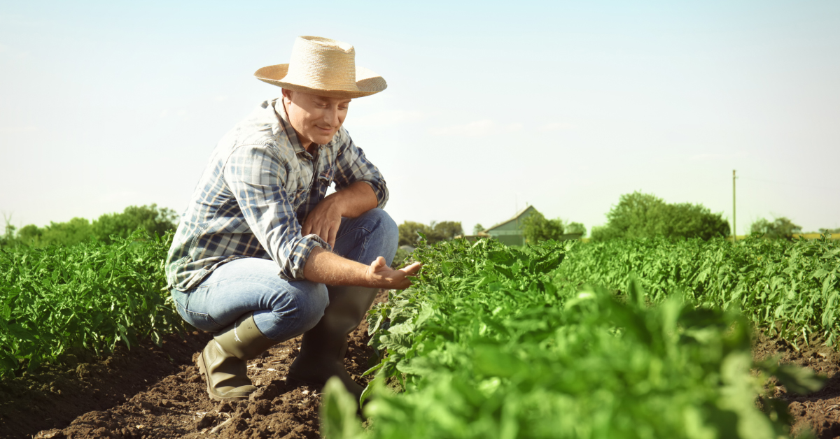 how to start farming