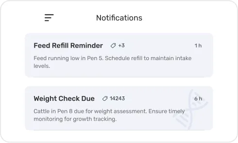 Screen of Alerts & Notifications