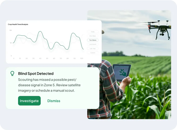 image showcasing how crop scouting & health monitoring works