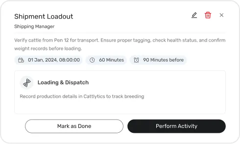 Screen of Daily Task Automation
