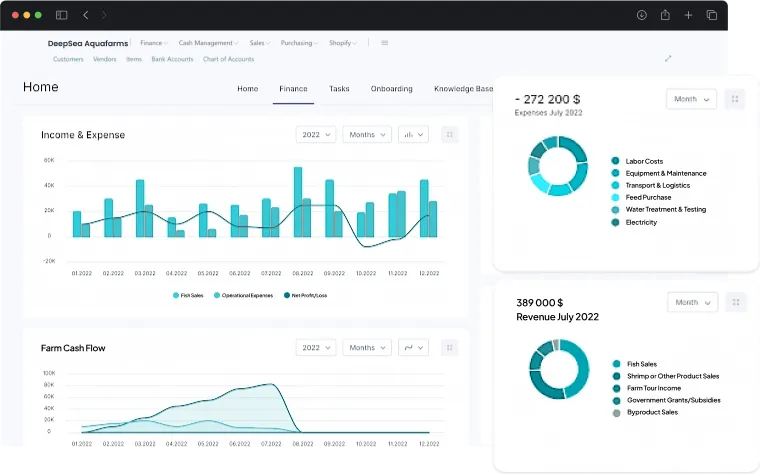 dashboard screen showcasing finance management activities