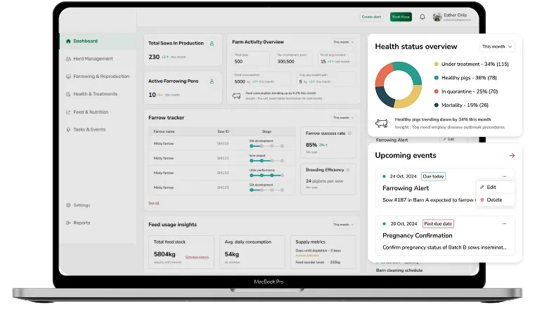 dashboard image showcasing how pork production works