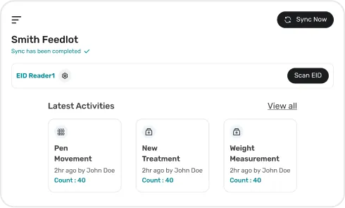 Screen of Daily Task Automation