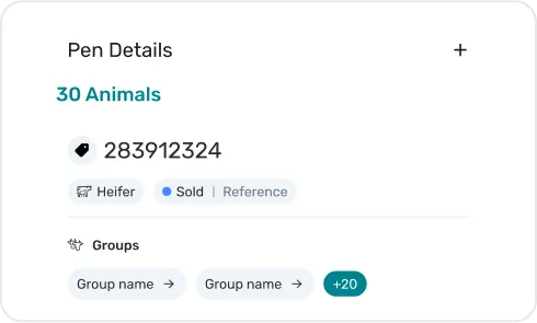 Screen of Pen & Group Management