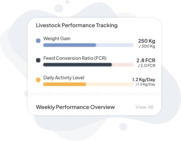 image of performance & weight tracking activities