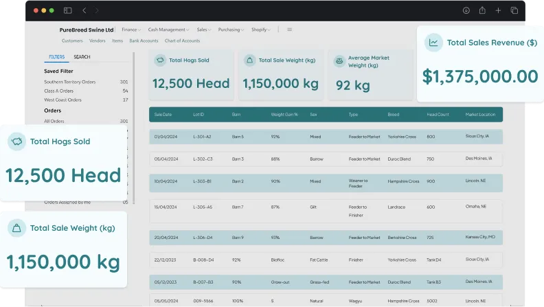 screen showcasing reporting & analytics activities