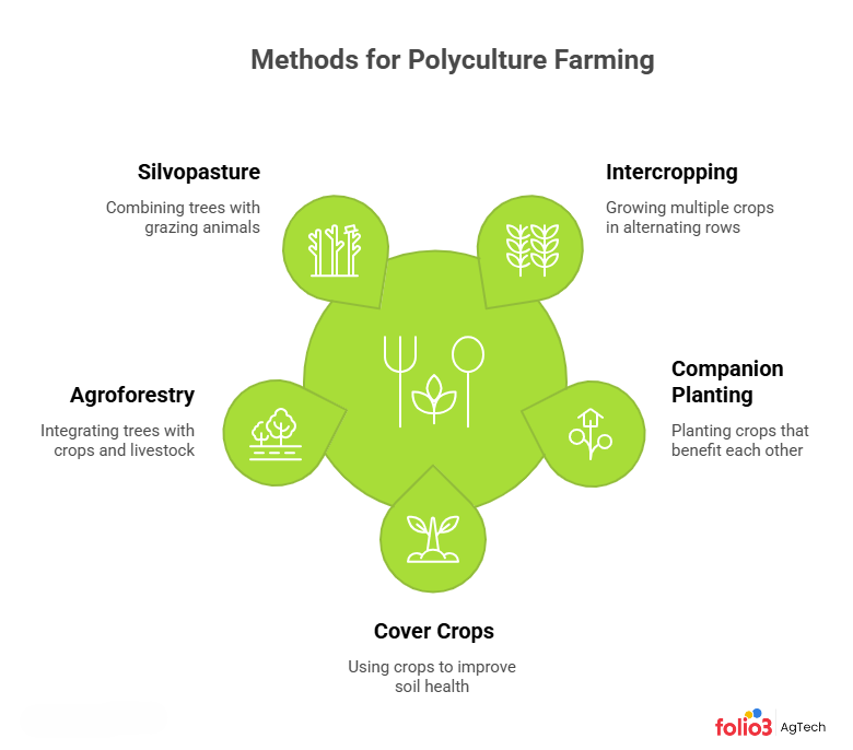 Polyculture Farming Methods