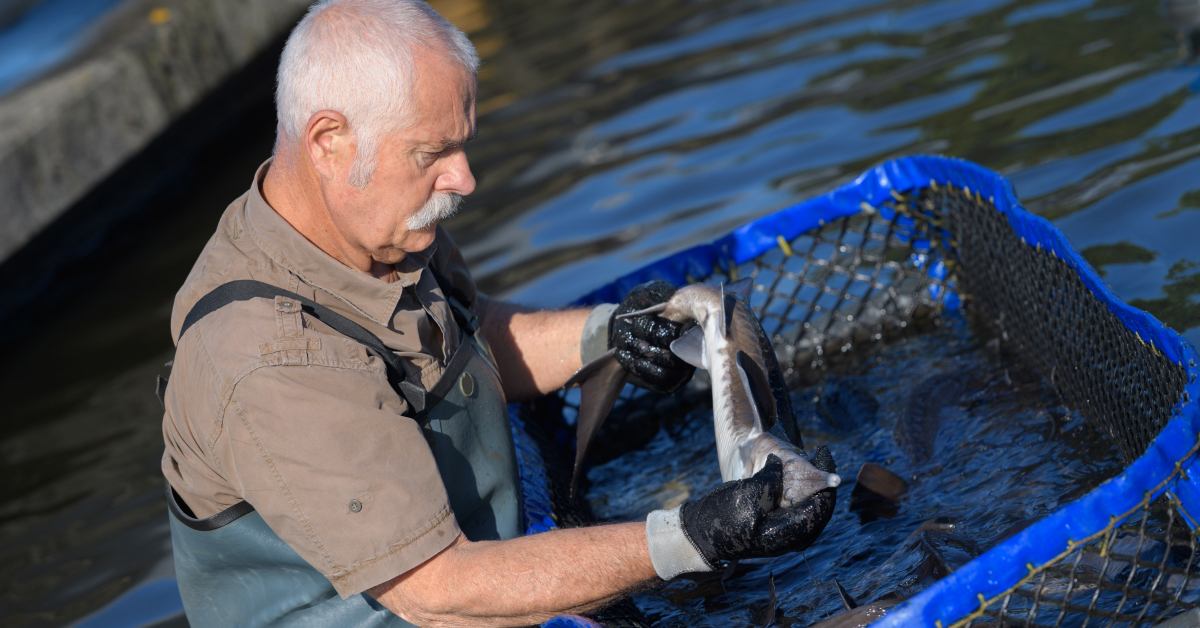 sustainable fish farming