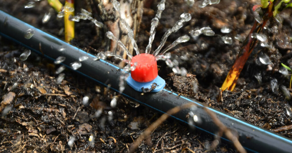 drip irrigation