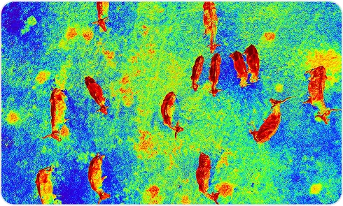 image of thermal imagery support