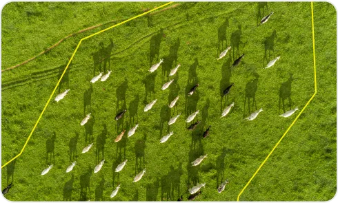 image of perimeter fence breach detection