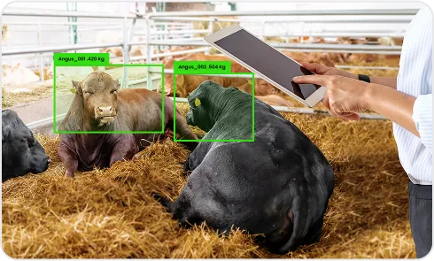 image of Weight Estimation from Video