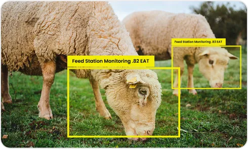 image of water & feed station monitoring