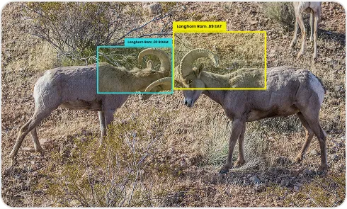 image of activity & movement monitoring