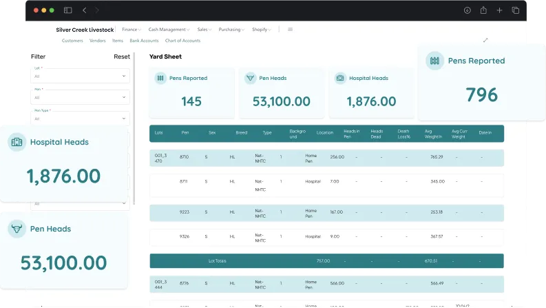 dashboard screen showcasing activities in business intelligence