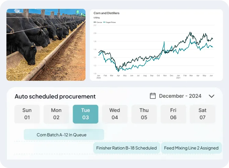 image of animal feed & input
