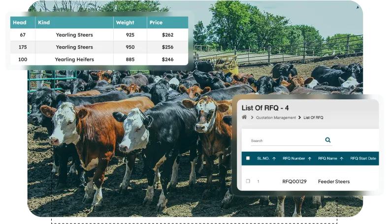 image of feeder supply