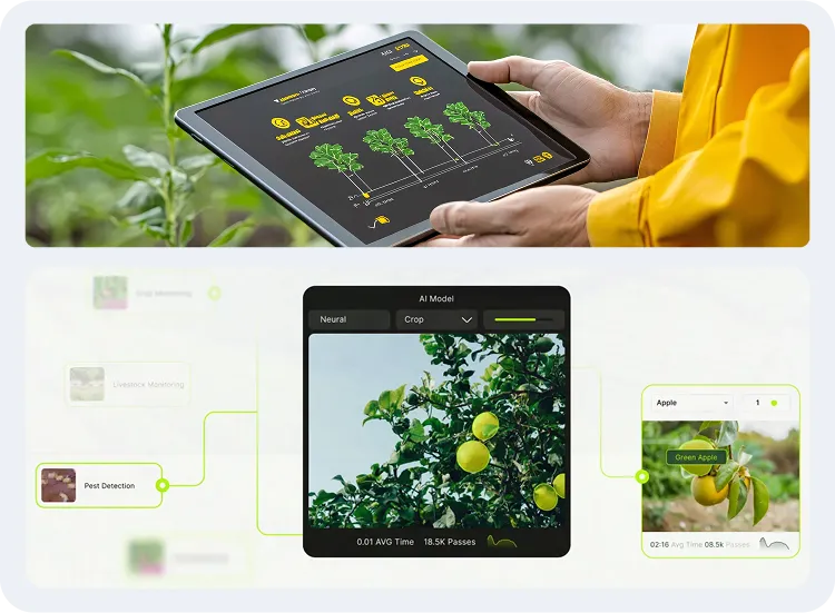 image showcasing early detection of agricultural issues