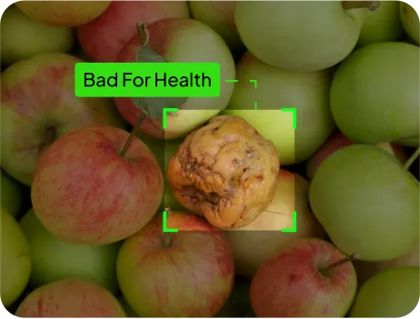 Image of Nutrient Deficiency Detection