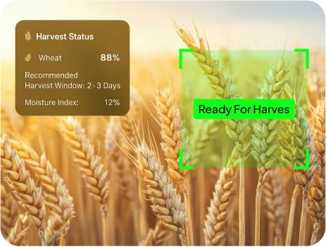 Image of Harvest Readiness Assessment