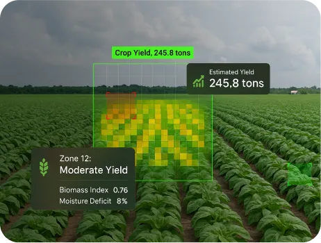 image of Yield Estimation