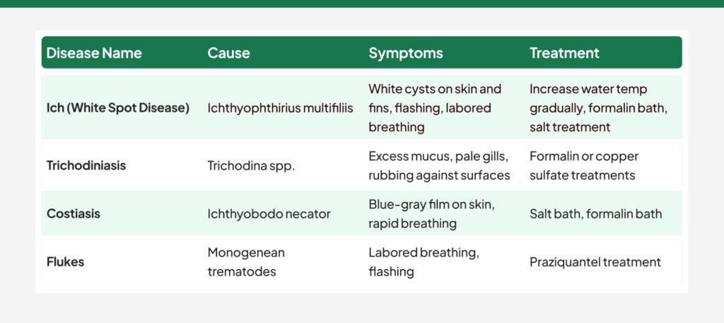 Parasitic Infections in fish diseases